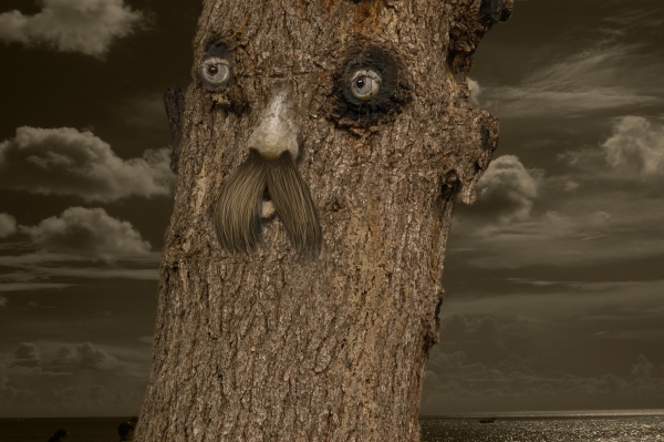 Creation of Mr. Olderwood: Step 11